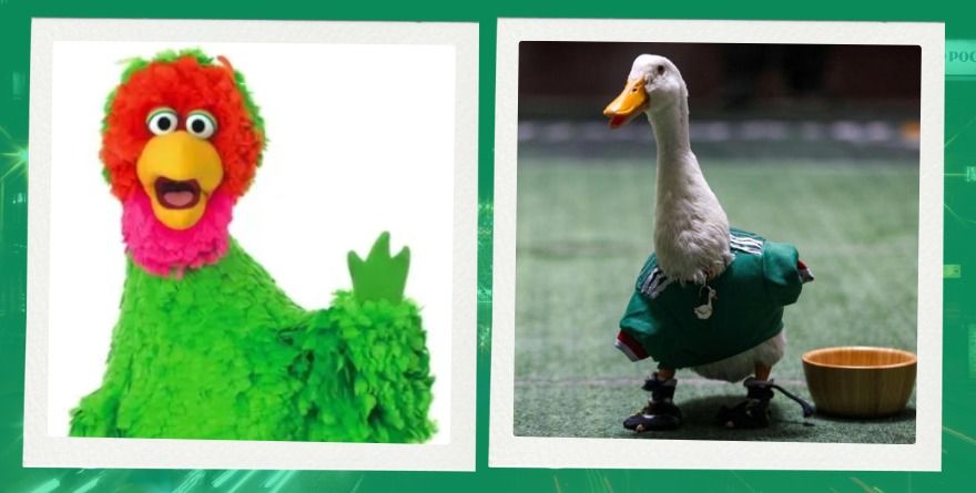BÚSQUEDA FAMILIAR: ABELARDO DE PLAZA SÉSAMO LOCALIZA A EL PATO MERLÍN EN SINOALOA TRAS ROBO