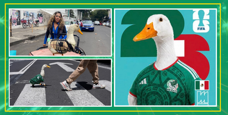PATO MERLÍN LLEGA AL CORAZÓN: ASÍ SE CONVIRTIÓ EN AMULETO DEL MUNDIAL