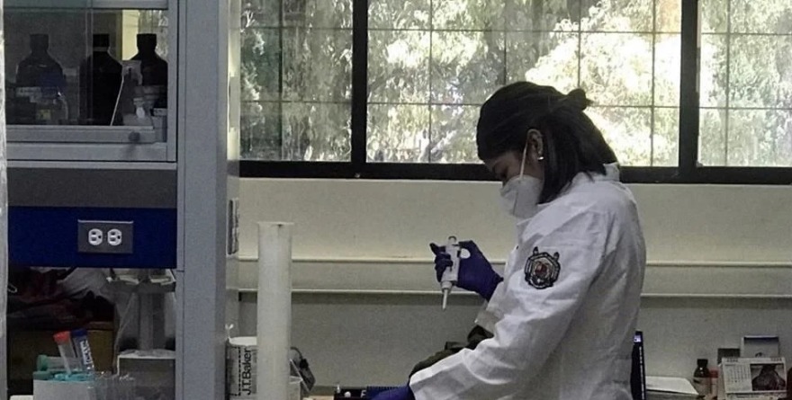 SE DETERIORÓ INVESTIGACIÓN ELÉCTRICA EN SEXENIO PASADO