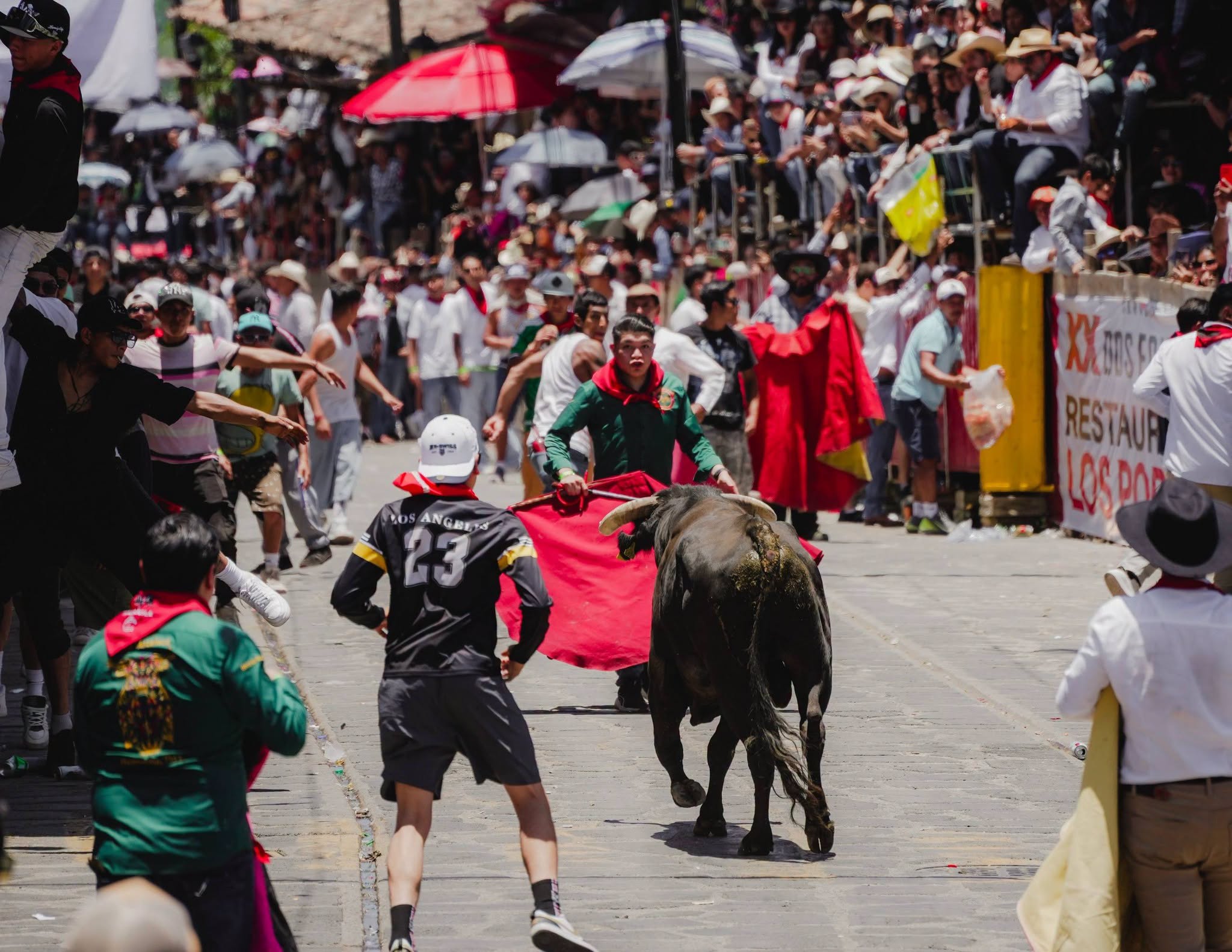 CAPEA EN XICO 2026