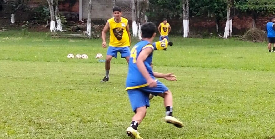 Armando Alfaro Miranda Y Diego Ernesto Campa Hernández