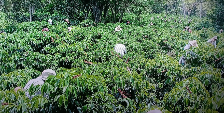 EL COATEPEC DE “NO TENGO MIEDO”