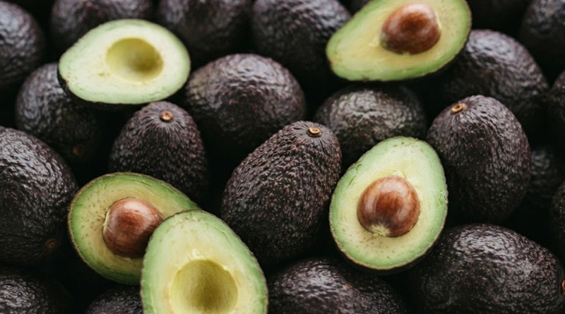 AGUACATE MEXICANO: PIDEN SU CASTIGO EN EU