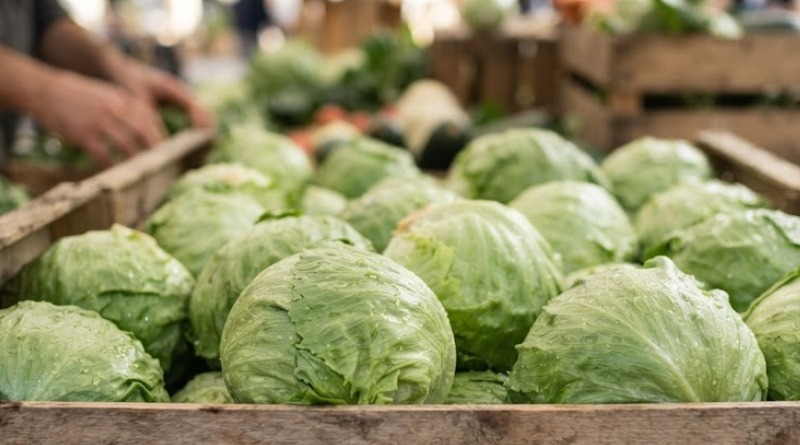 BROTE DE DIARREA EN EU VINCULADO CON LECHUGA DE MÉXICO