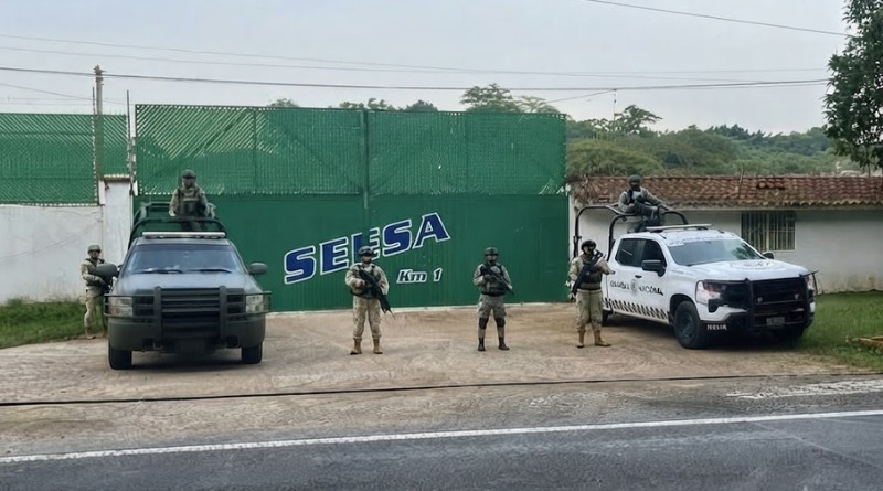 CENTRO DE DEPÓSITO DE HUACHICOL HALLADO EN VERACRUZ