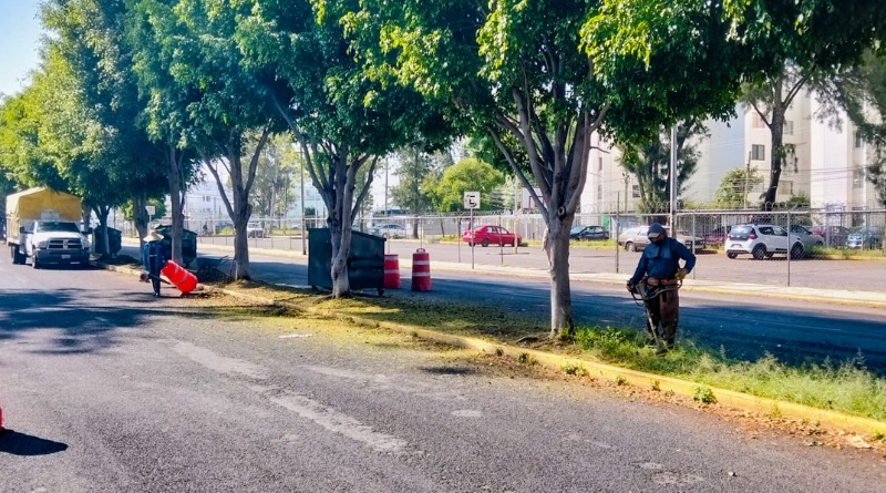 FORTALECIMIENTO URBANO: PUEBLA RENUEVA SUS CAMELLONES