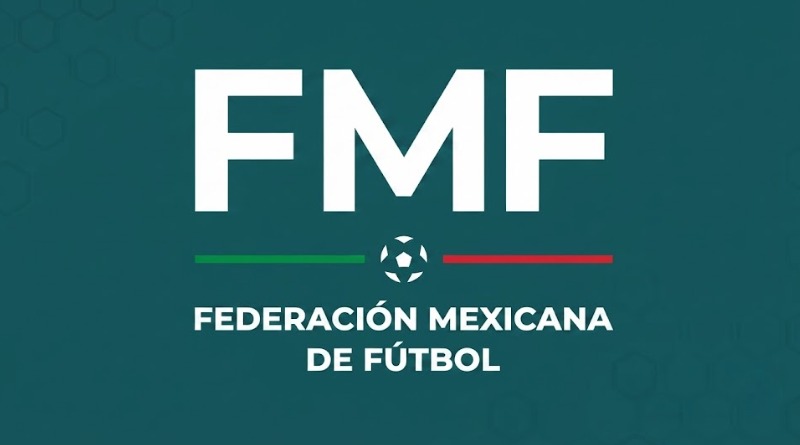 IMPUGNACIÓN DE FMF CONTRA MULTA POR ‘VICIOS PROCESALES’