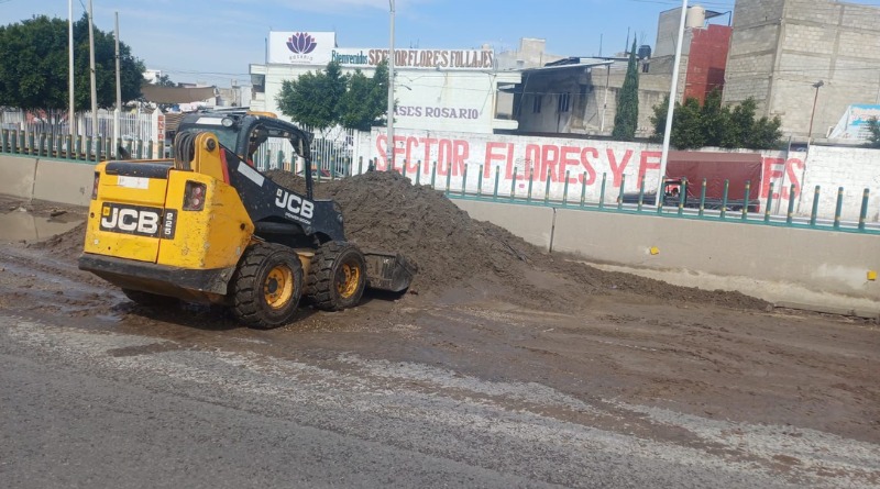 LA CENTRAL DE ABASTO SOMETIDA A INTENSA LIMPIEZA VIAL