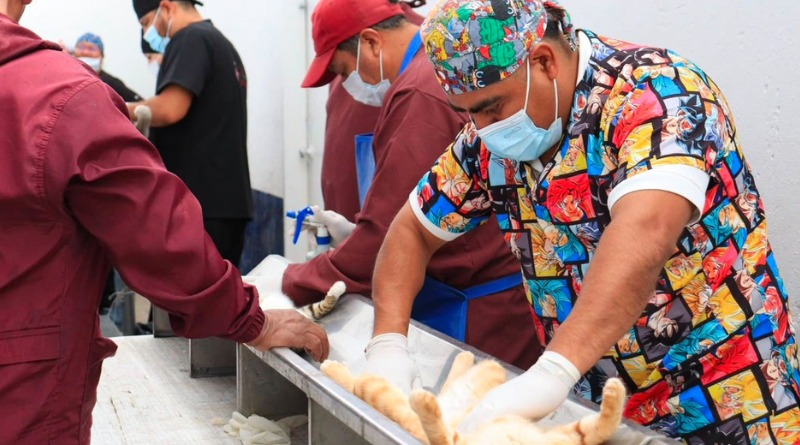 PUEBLA ALCANZA MÁS DE 120 MIL VACUNAS Y 18 MIL ESTERILIZACIONES