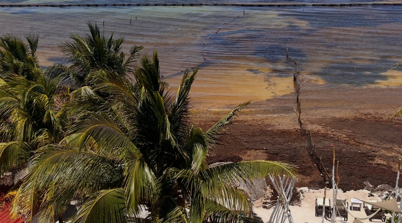 SARGAZO CAUSA CIERRE DE ESTABLECIMIENTO HOTELERO EN MAHAHUAL, QR