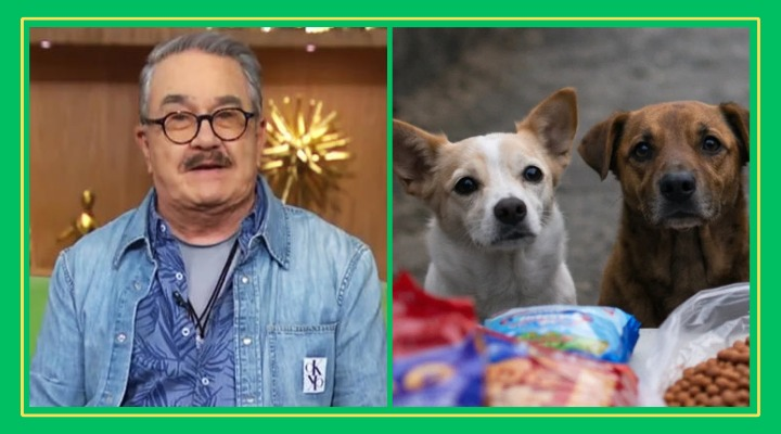 TRAS SU TREMENDA METIDA DE PATA, PEDRITO SOLA VA AL REFUGIO DE PERRITOS