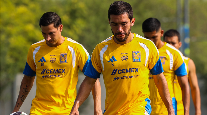 QUE LOS TIGRES DEMUESTREN SU CALIDAD