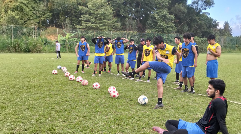 FELINOS DE XALAPA NO PARTICIPARÁ ESTE AÑO EN LA LIGA PREMIER