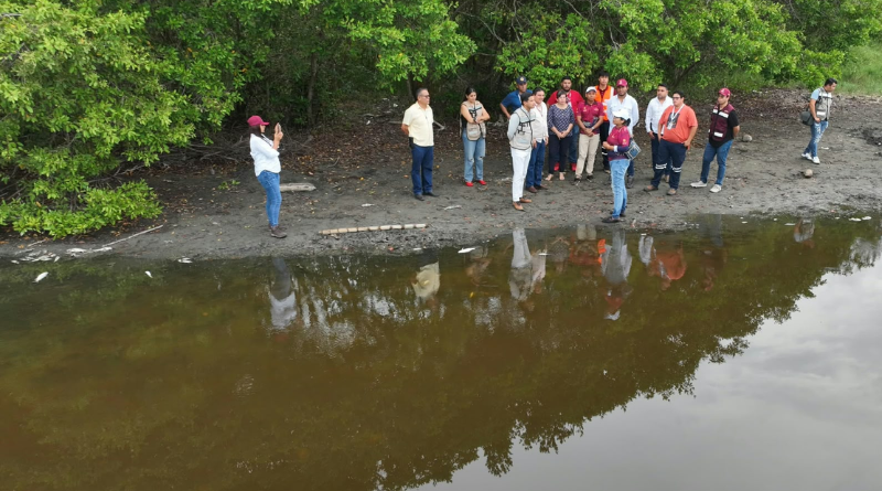 CALOR EXTREMO Y FALTA DE LLUVIA PROVOCAN MUERTE DE PECES