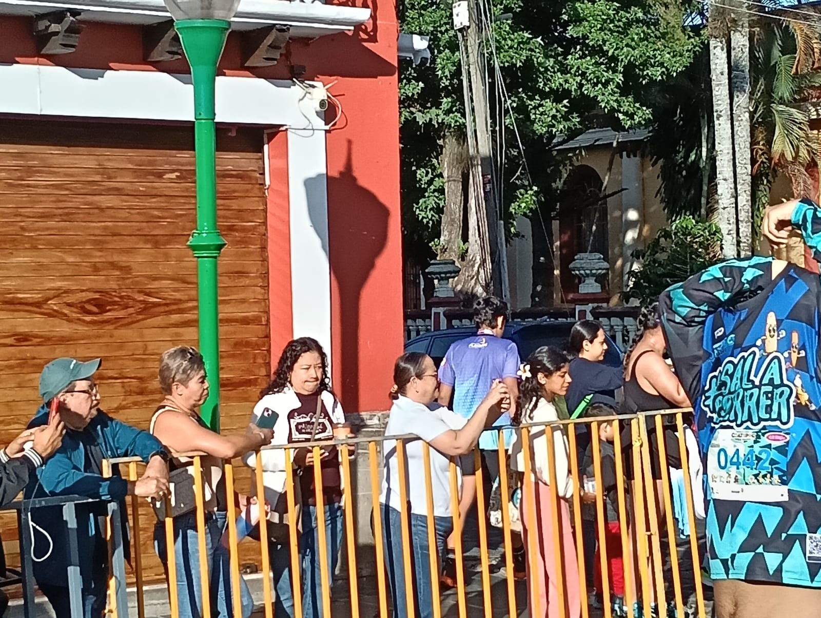 Imagen 11