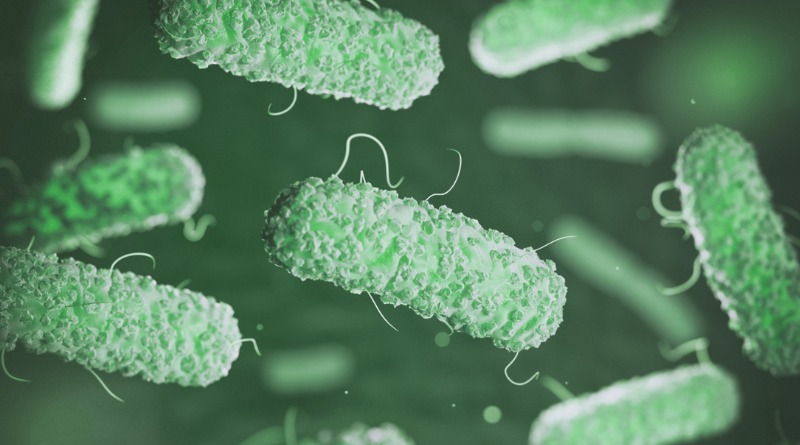 DIFERENCIAS CLAVE ENTRE SALMONELOSIS Y CICLOSPORIASIS