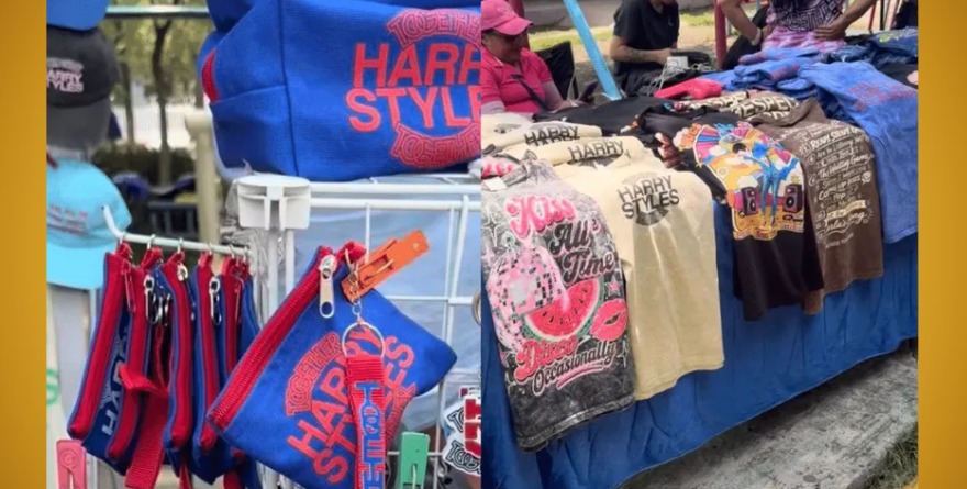 DECOMISO DE TONELADAS DE PIRATERÍA VINCULADAS A HARRY STYLES