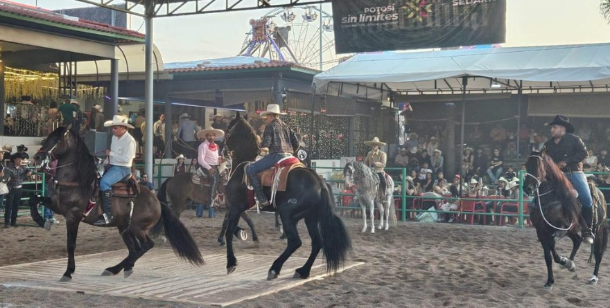 EL ARRASADOR ÉXITO DE LOS CABALLOS BAILADORES