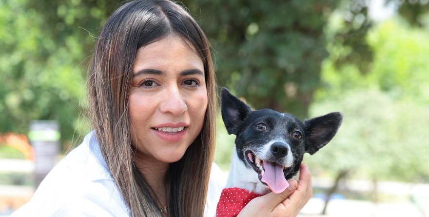 EL MALTRATO ANIMAL PROVOCA INDIGNACIÓN CADA VEZ MAYOR