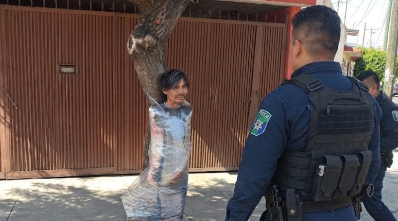 EMPLAYAN A INDIVIDUO EN UN ÁRBOL DE LA CDMX