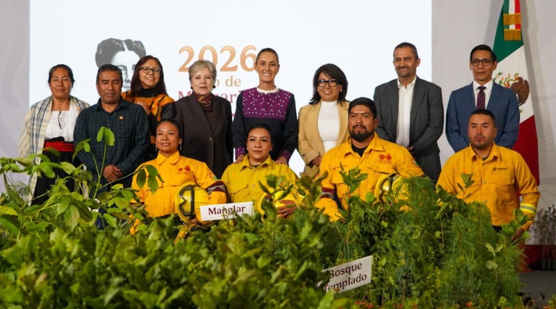 GOBERNADORES SACAN A LA LUZ SEQUÍA, PÉRDIDA FORESTAL Y TALA ILEGAL