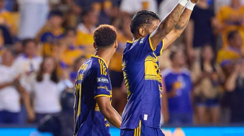 LA ÚLTIMA ESPERANZA A LA QUE SE AFERRA TIGRES