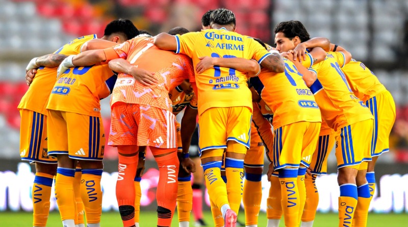 REVIVEN FANTASMAS DE HACE 20 AÑOS POR MAL PASO DE TIGRES