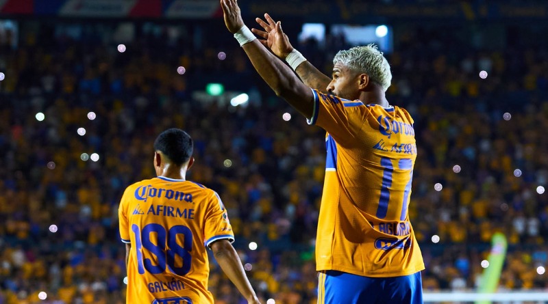 TIGRES OBTIENE EL TRIUNFO ESPERADO