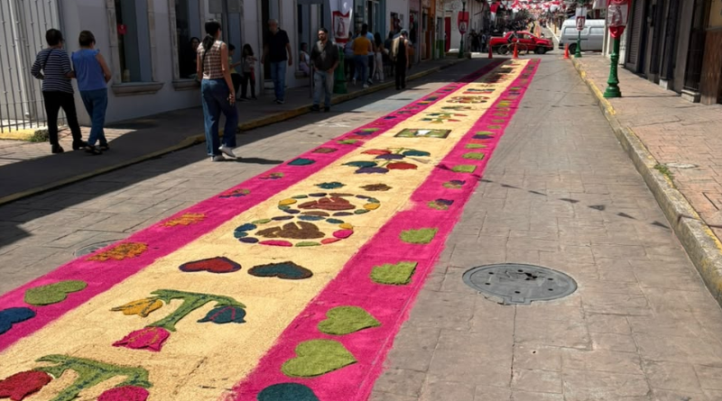 TAPETES DE FE PARA SAN JERÓNIMO