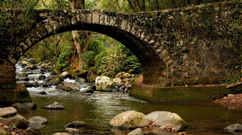 EL AGUA DE COATEPEC