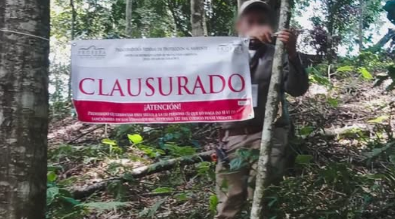 CLAUSURAN PREDIO EN COATEPEC POR DERRIBO ILEGAL DE ÁRBOLES
