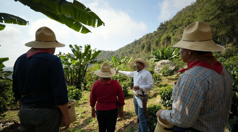 TURISMO COMUNITARIO: LA NUEVA RUTA POR VERACRUZ