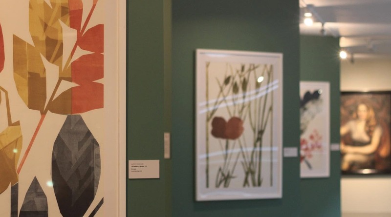 EL MACG ACOGE LAS NUEVAS VOCES DEL ARTE