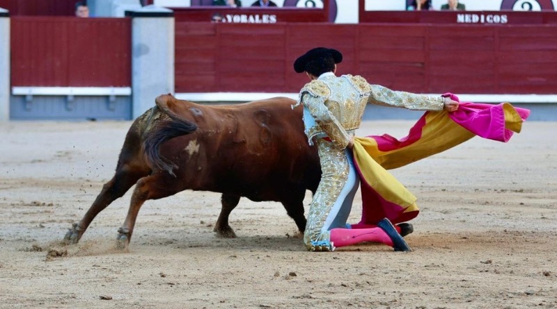 LUCE NOVILLERO JOAQUÍN MANZUR EN ESPAÑA