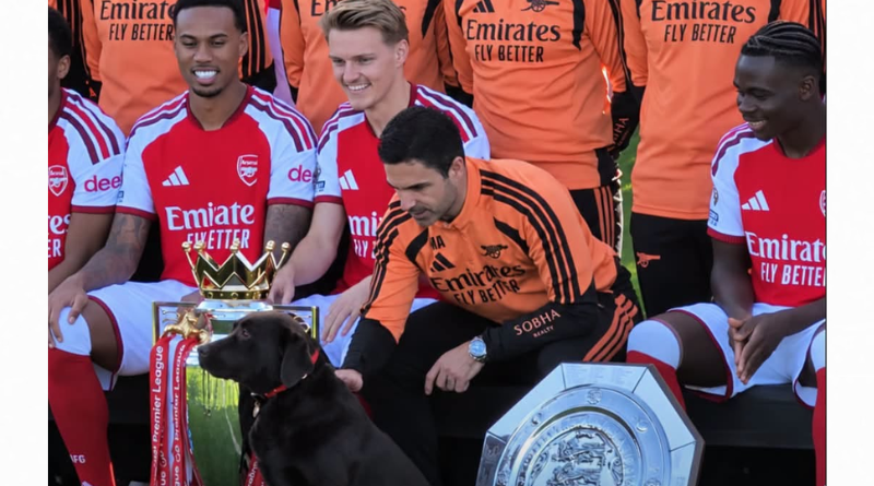 ROBÓ CÁMARA WIN, LA PERRITA DEL ARSENAL